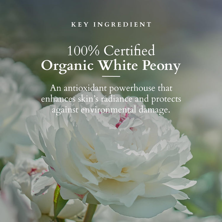 Lotus Organics+ Precious Brightening Serum + Cream | 100% Organic White Peony | Sulphate & Paraben Free | All Skin Types | 30g