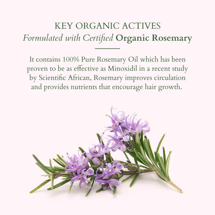 Lotus Organics+ Hair Growth Active Concentrate Serum | Made with 100% Organic Rosemary Oil, AnaGain & Hairdian | Boosts Hair Growth | Increases Thickness | Strengthens Hair Follicles | For All Hair Types | 28ml