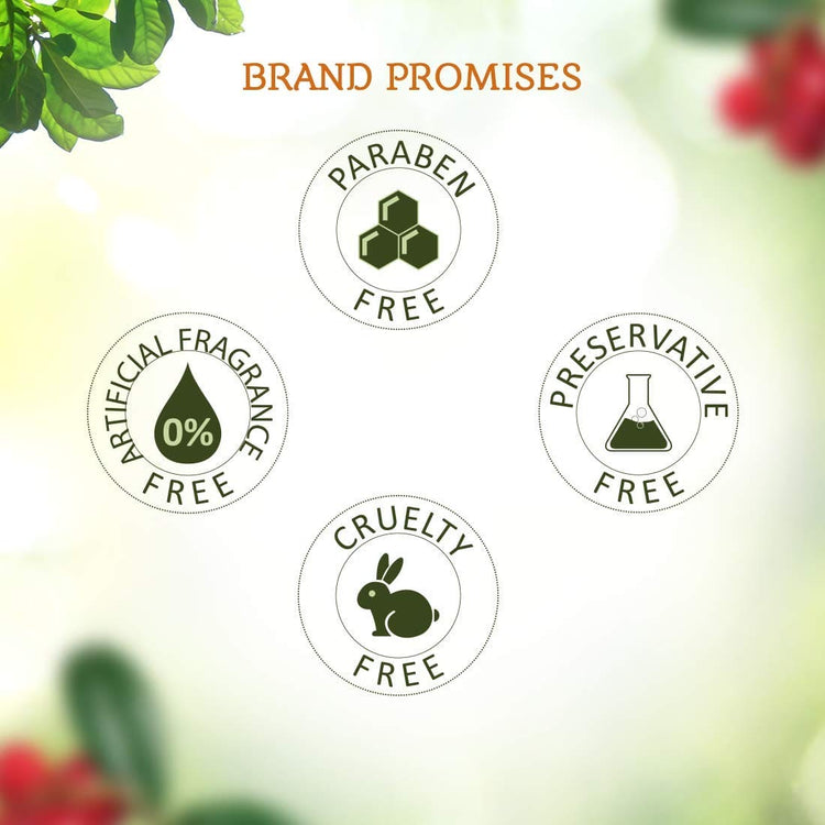 Lotus Organics+ Ultra Matte Tinted Face Sunscreen Cream, SPF 40 PA+++ | Natural, Mineral Based, Chemical Free | Matte Finish | Sun Protection | 100% Certified Organic | Water & Sweat Resistant | 100g