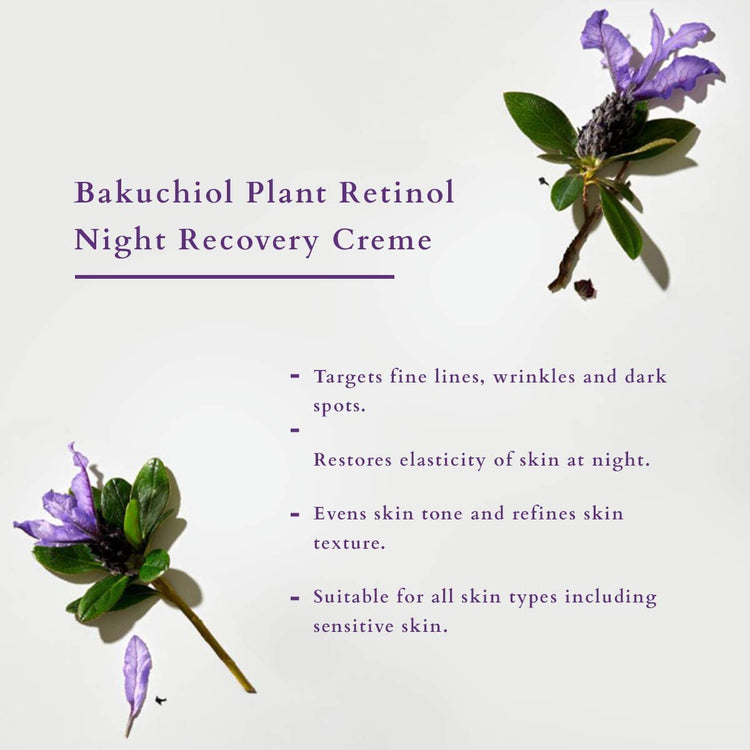 Lotus Organics+ Bakuchiol Plant Retinol Recovery Night Cream | Reduces Fine Lines & Wrinkles | Anti Ageing | Certified Organic | 50g