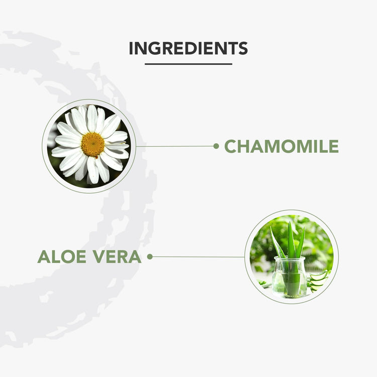 Lotus Professional PhytoRx Rejuvina Herbcomplex Protective Lotion | Lightweight, Non-Sticky, Quick Absorbing | For Silky Soft, Smooth, Radiant Skin | For Normal To Combination, Sensitive Skin | For Women and Men| 100ml