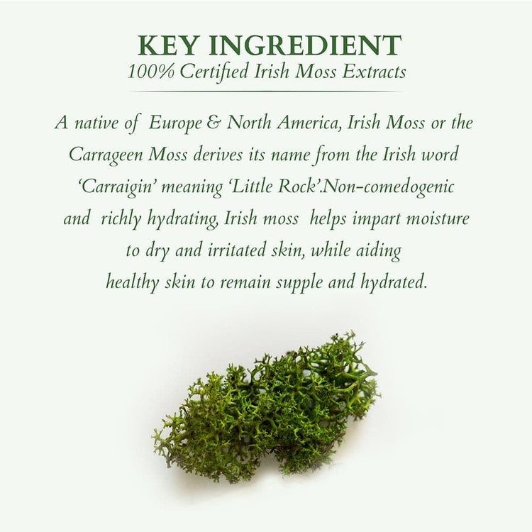 Lotus Organics+ Pristine Purifying Face Wash | Oil Control & Clarifying | Sulphate Free | 100% Certified Organic Irish Moss | All Skin Types | 100 ml