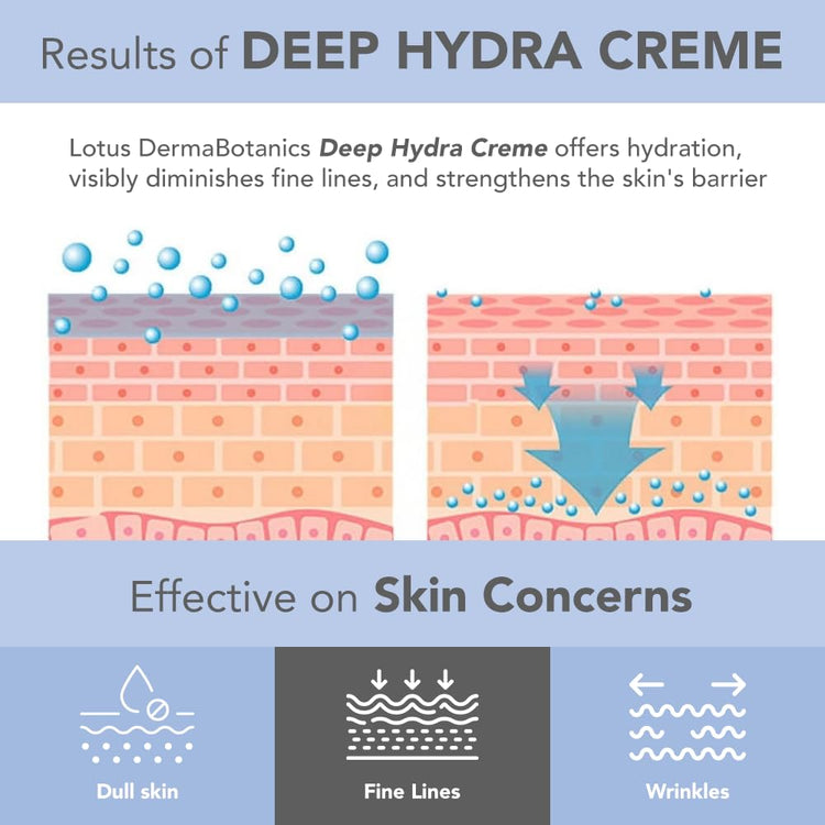 Lotus Herbals Dermabotanics Peptide + Papaya Extract Deep Hydra Cream | Boosts Collagen, Protects From Pre-Mature Ageing |Non-Irritating | Ph 5.5 | Normal To Combination Skin | 50G