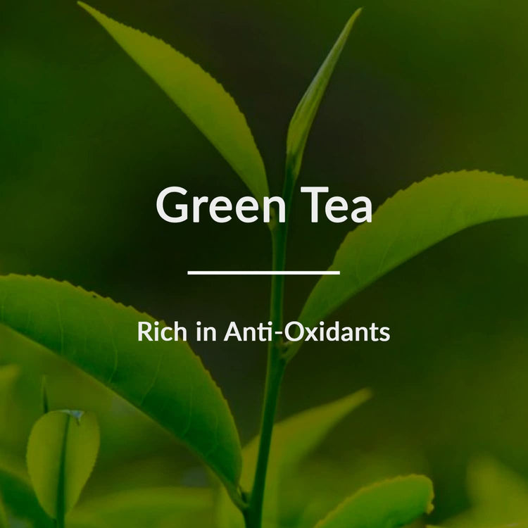 Lotus Botanicals Natural Green Tea HydraDetox Moisture-Replenishing Face Serum 30g