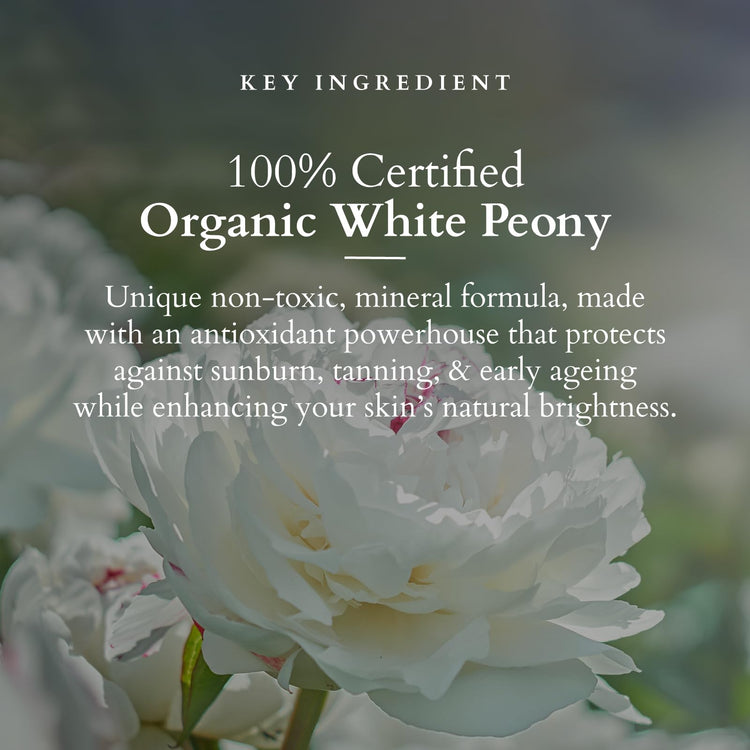 Lotus Organics+ Sheer Brightening Mineral Sunscreen | Non Greasy & Lightweight | SPF 50 | PA+++ | 50g