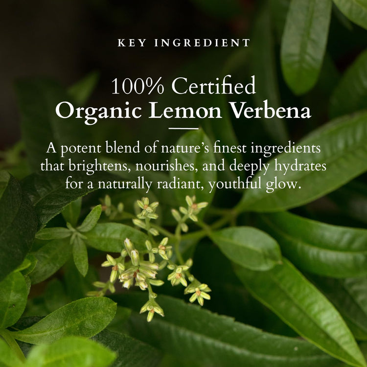 Lotus Organics+ Vitamin - C Radiance Booster Cleanser | 100% Certified Organic Lemon Verbena | Removes Dirt & Excess Sebum | All Skin Types | 100gm