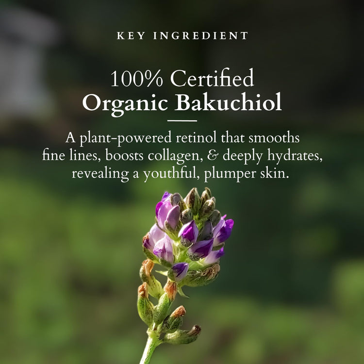 Lotus Organics+ Bakuchiol Plant Retinol Oil to Foam Cleanser | Reduces Fine Lines & Wrinkles | Anti-Ageing | 100% Certified Organic Bakuchiol | All Skin Types | 100ml