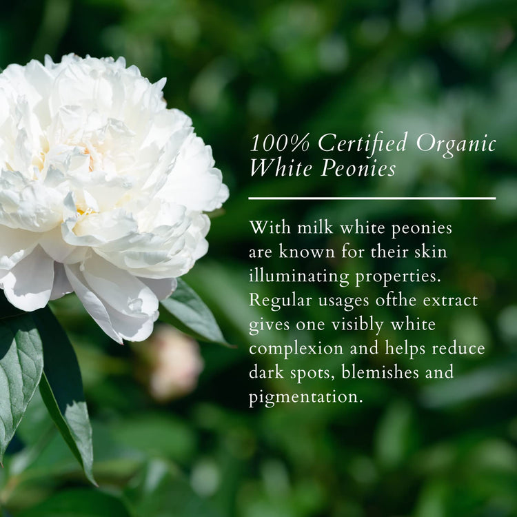Lotus Organics+ Precious Brightening Face Oil | 100% Certified Organic White Peony | Reverses Sun-damage & Calms Irritated Skin | Sulphate & Paraben Free | All Skin Types | 15ml
