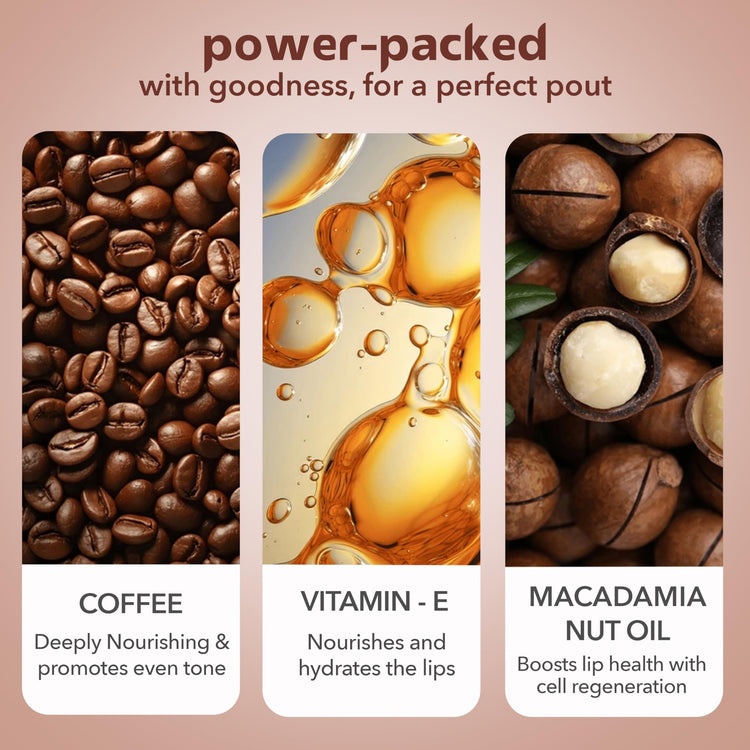 Lotus Herbals Café Mocha Lip Balm with SPF 15 for Dry and Chapped Lips, Moisturises, Softens, and Repairs Skin, Glossy Finish, With Vitamin E, Brown Tint, (Brown,10g),Pack of 2