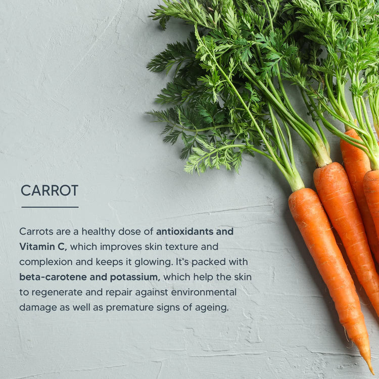 Lotus Professional PHYTORx SUNBLOCK MIST/Sunscreen Spray SPF 50 PA+++ | Non greasy finish | High Sun Protection | Damaged skin | Cruelty Free | 100ml