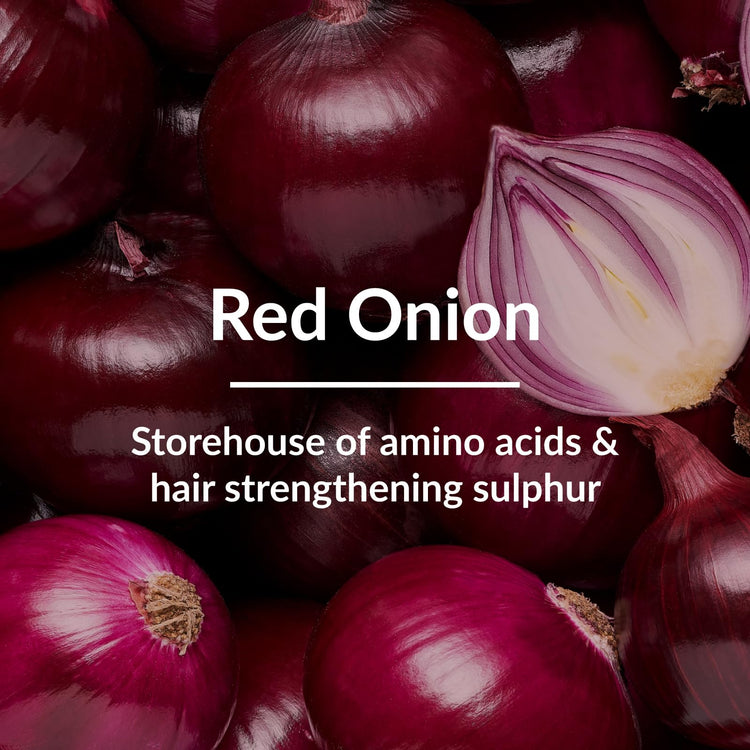 Lotus Botanicals Red Onion Hair-Fall Control Shampoo | Powerhouse of Red Onion Extracts | Prevents & Controls Hair Fall | Anti Hair Fall Shampoo | pH Balanced | No Silicon, No Toxic Chemicals | 300ml