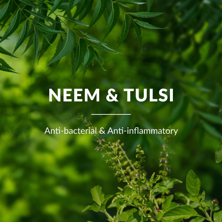 Lotus Botanicals Neem, Tulsi & Salicylic Acid Anti-Acne Purifying Face Gel | Helps Prevent Acne & Pimples | Helps Reduce Skin Redness & Inflammation | No Parabens | Suitable for Acne Prone Skin | 50g